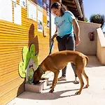 Кемпинг Zecamping 4 Etoiles Familial - Parc Aqua - Mh Climatise - Super Dog Friendly Thegra
