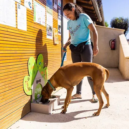 4 étoiles - Piscine - Eeicab * Thégra