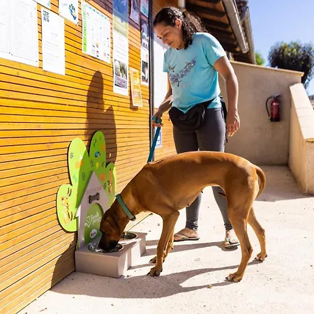 Kemp Zecamping 4 Etoiles Familial Animaux Acceptes Terrain Multisports Thégra