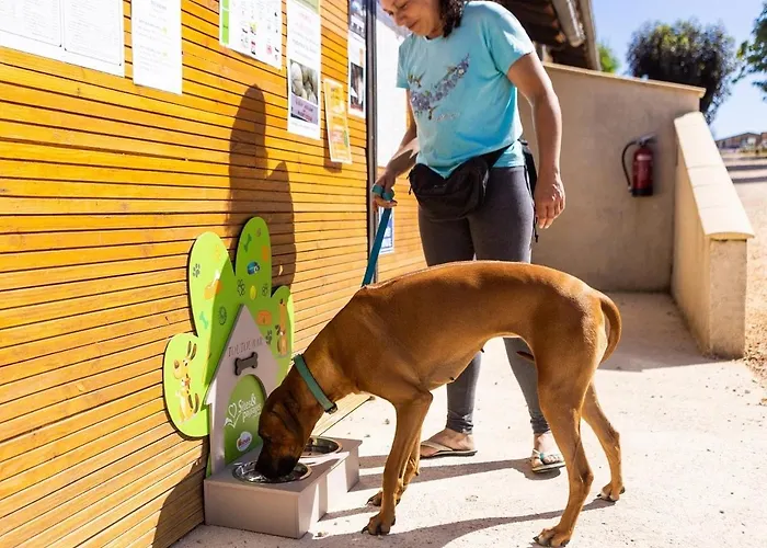 مكان تخييم Zecamping 4 Etoiles Familial Animaux Acceptes Terrain Multisports Thégra